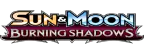 Burning Shadows