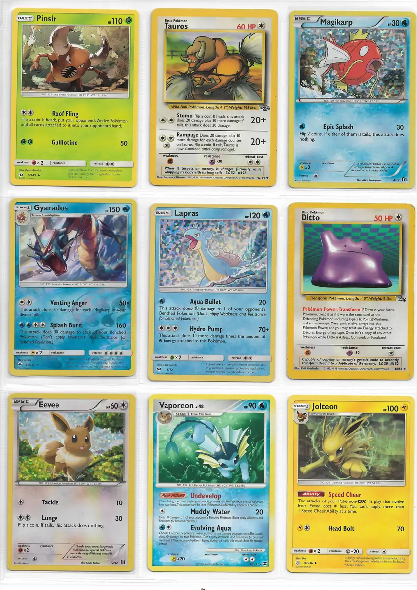 Pok&eacute;mon Kart Scan 15