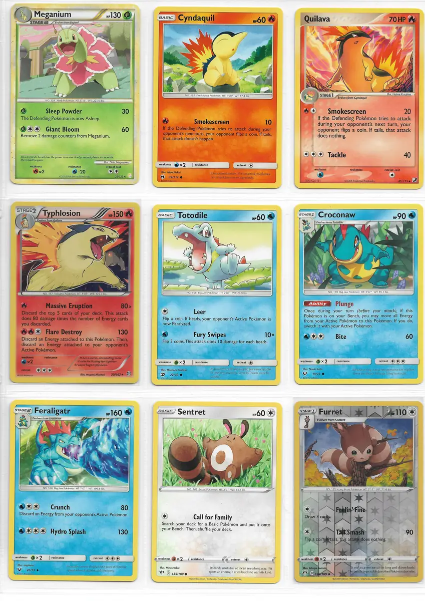 Pok&eacute;mon Kart Scan 18