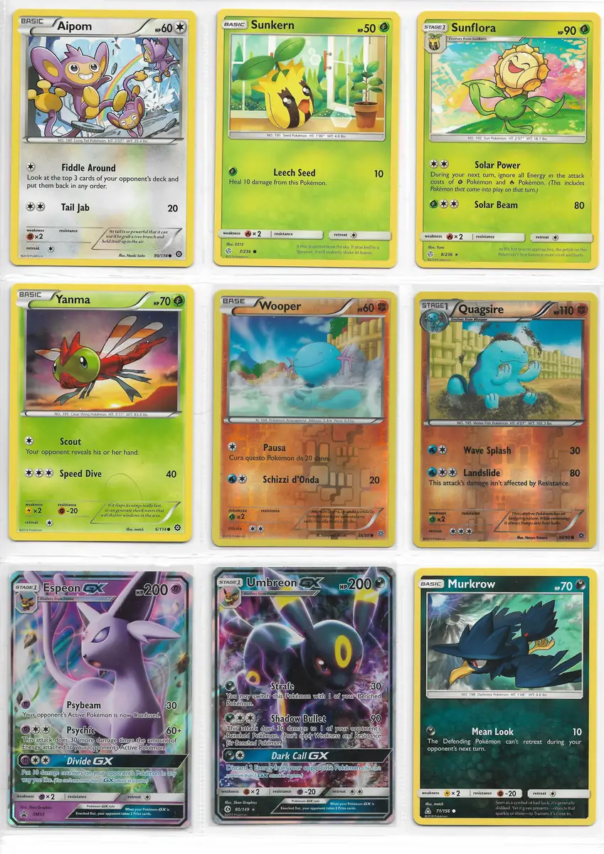 Pok&eacute;mon Kart Scan 22